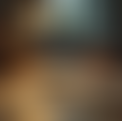 Unraveling Mystery with Roman Peterson: A Detective's Tale