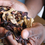 Handcrafted Sorel --  Jack From Brooklyn. 