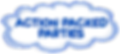 Action Packed Parties Event Planner