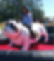 Corporate Event Planner with Corporate Event Ideas like Mechanical Bull Rentals for Corporate Events, Church Spring and Fall Festivals, School Carnivals, Fundraisers, College Events, Backyard Parties, Birthday Parties and Parties of all kinds!