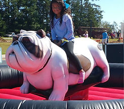 Pike County Mechanical Bull Rentals.jpg