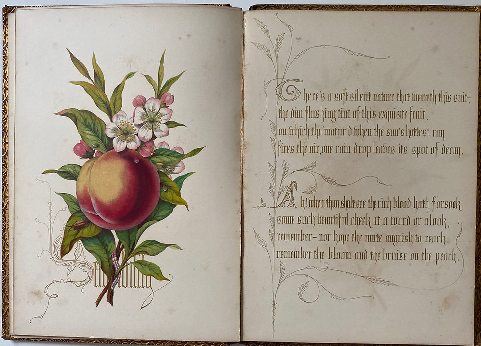 Thumbnail: Fruits from the Garden and Field, 1850, first edition