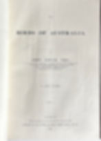title page