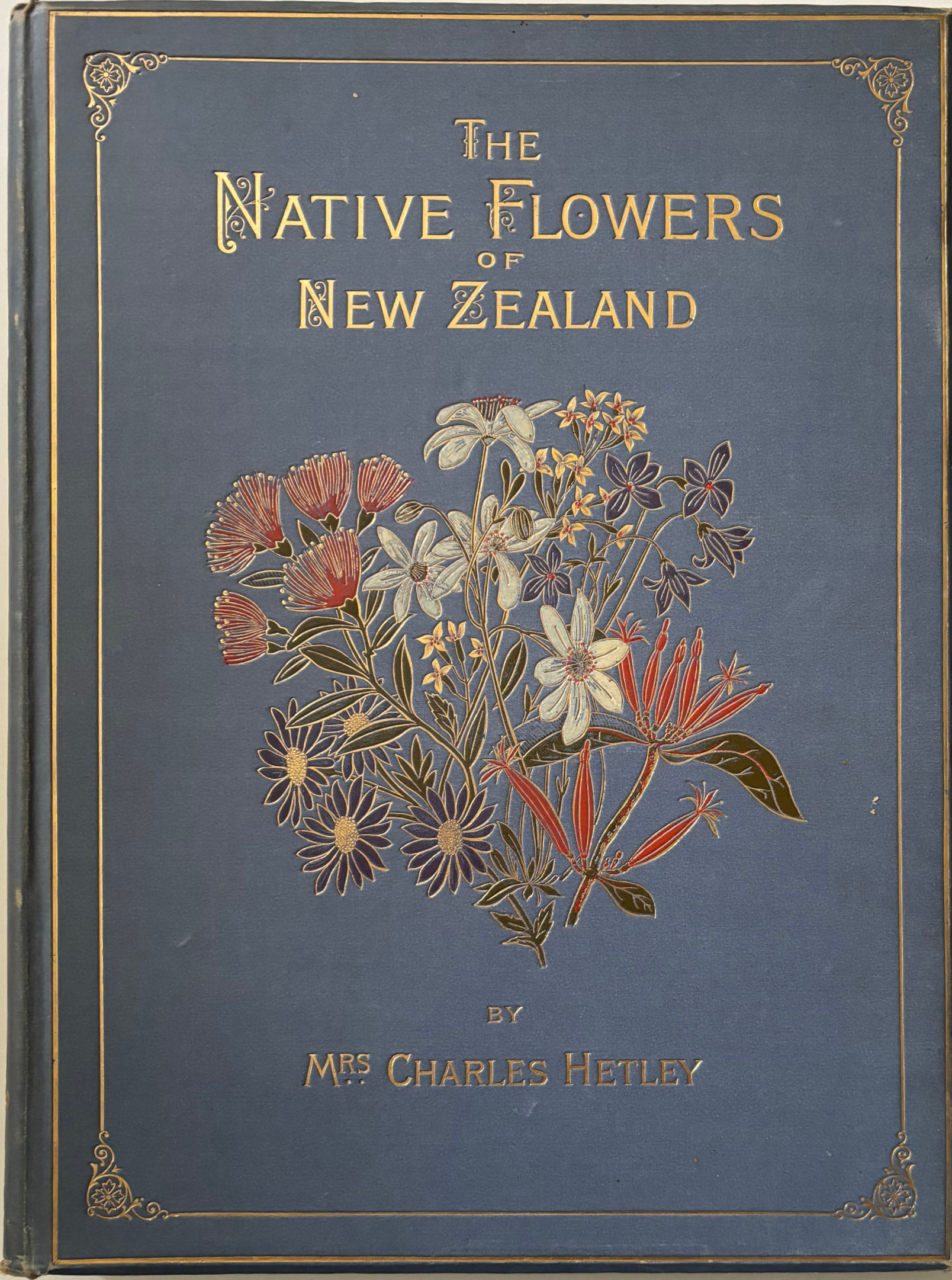 The Native Flowers of New Zealand by Mrs C. Hetley, 1888