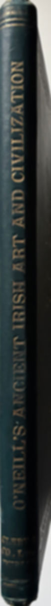 spine