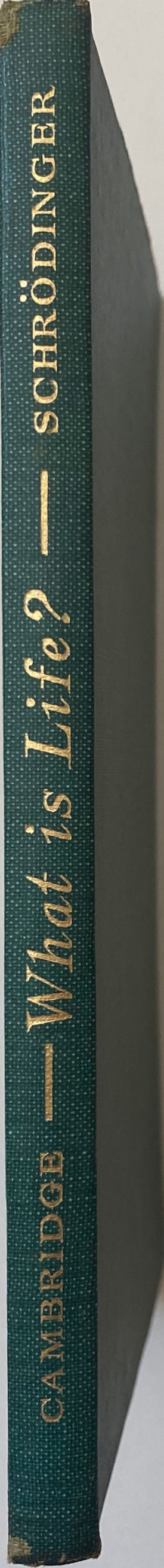 Thumbnail: What is Life? by Erwin Schrodinger, 1945