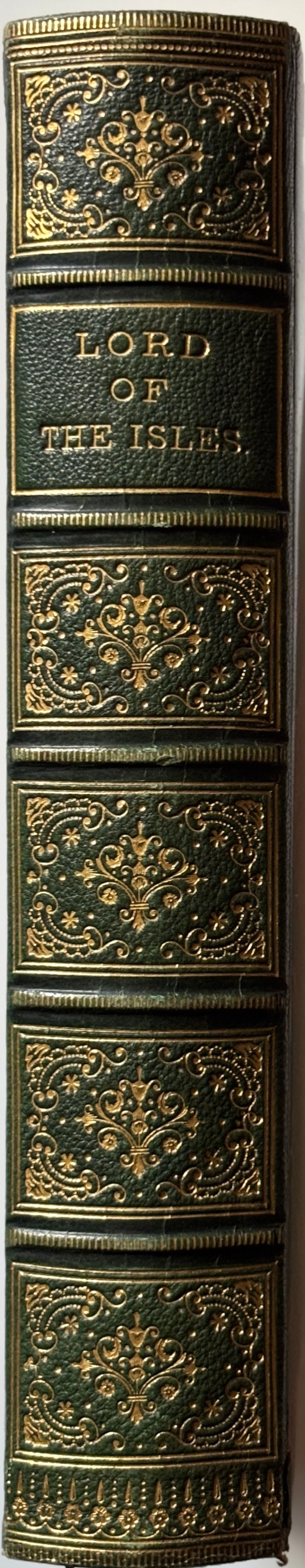 spine