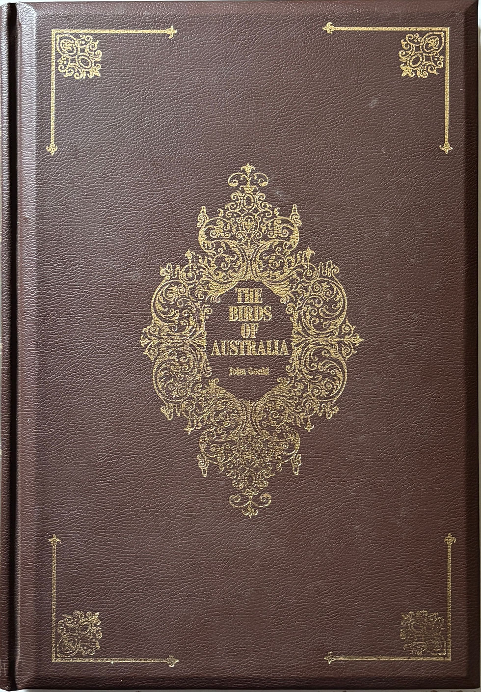 front cover of Birds of Australia