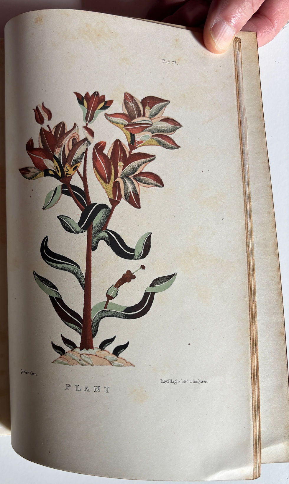 Thumbnail: chromolithograph vol 1