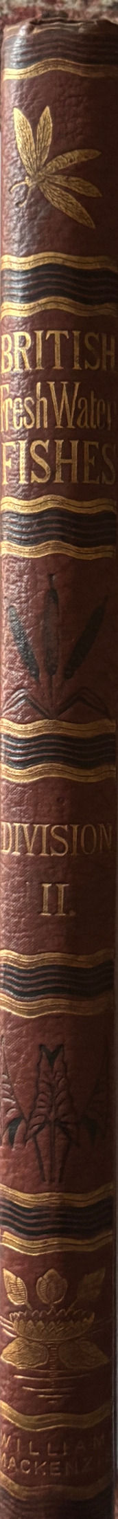 Thumbnail: British Fresh-Water Fishes by William L Houghton, first edition, two volumes LP