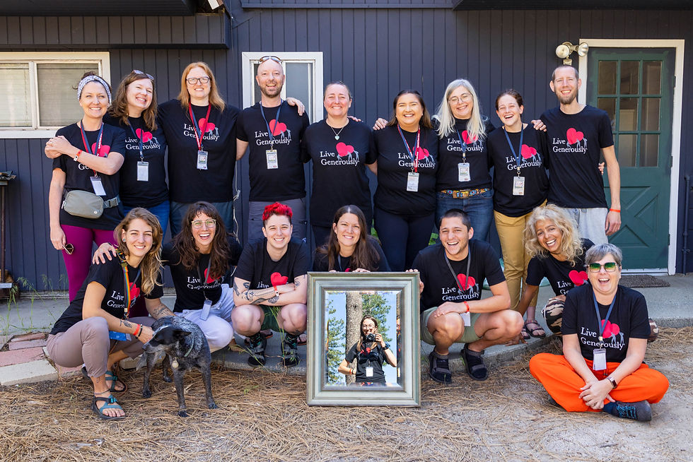 High angle view of a forest trail with a camping sign