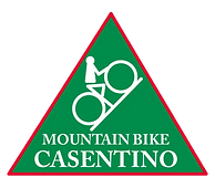 logo_triangolo.png