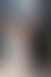 The bride and groom boat over to Royal Lake of The Woods Yacht Club