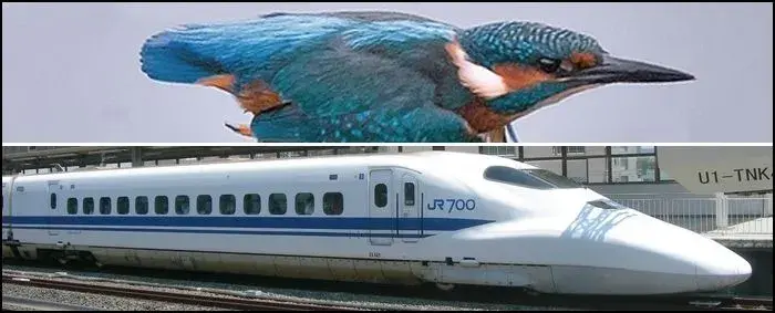 The new Shinkansen sleek train design compared to a Kingfisher. The train was inspired by the bird and designed using biomimicry.