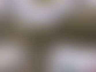 1984 ഡിസംബർ 2- കീടനാശിനി ഫാക്ടറിയിൽ ആയിരങ്ങൾ മരിച്ചുവീണപ്പോൾ…