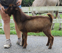 FreeBird Edit_edited.jpg