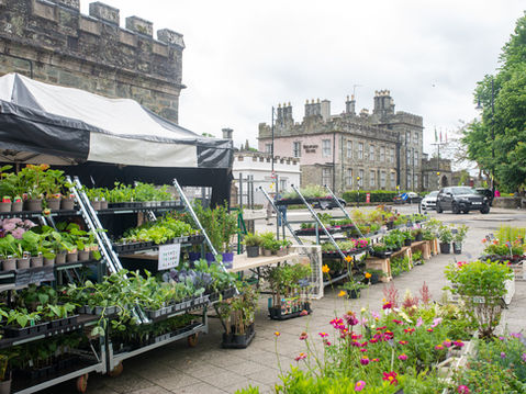 Shopping Locally and Sustainably in Tavistock
