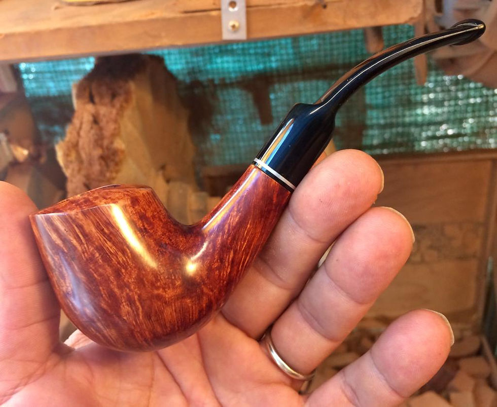 Miniatura: Italia 2022 n° 298  n° 118