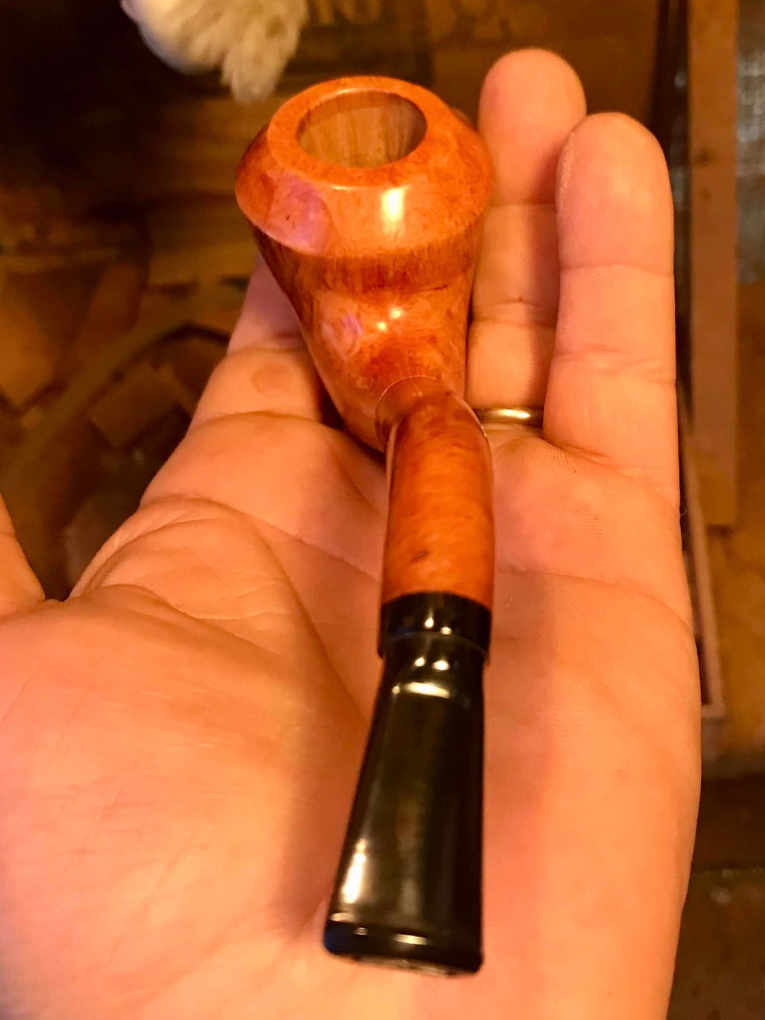 n° 81 ✔️M.R.A 429 anno 2023