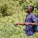 countryside-man-disinfecting-field.jpg