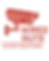HD Wired Nuts Logo (3).png