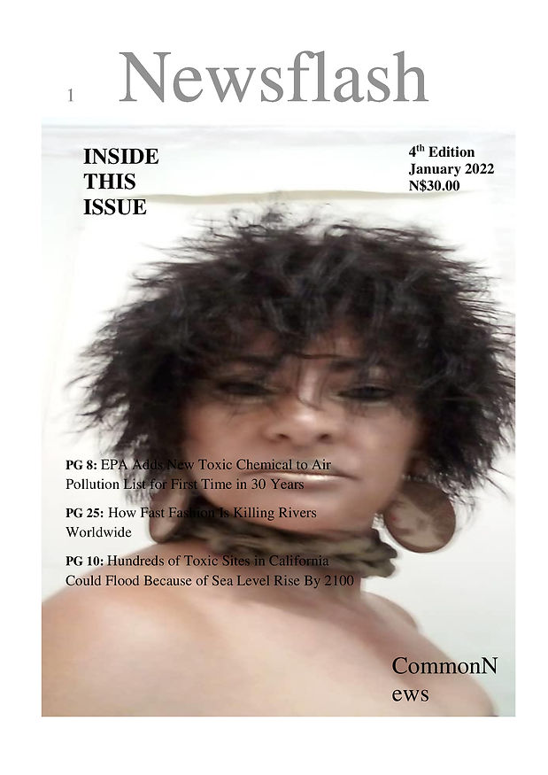 Newsflash-4th-Edition-Cover-Page-30-January-2022.jpeg
