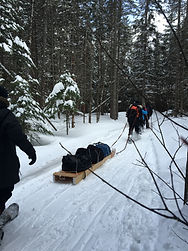 Snowshoeing in Algonquin Park