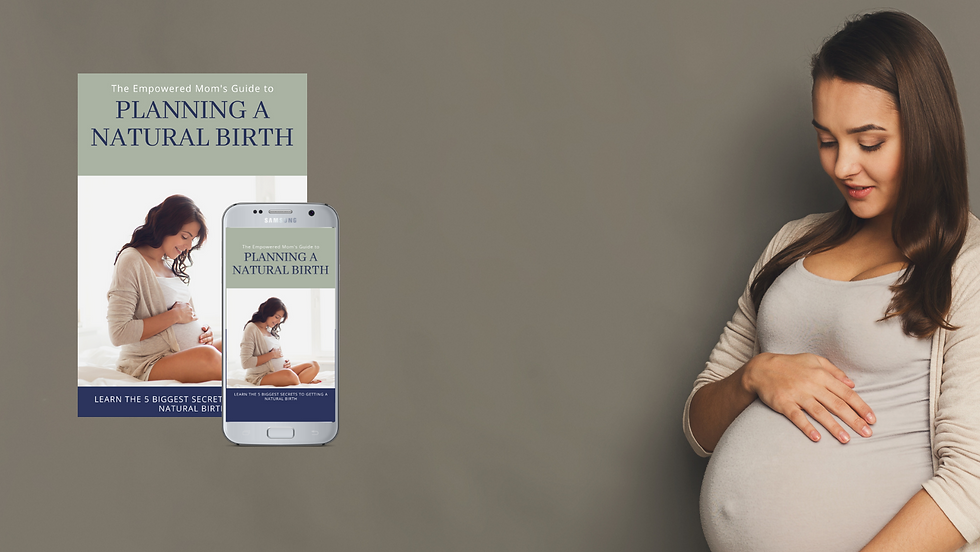 Wix - Birth Guide Banner (1).png