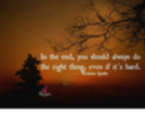 pasted image 0 (11).png