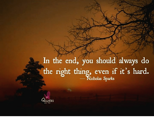pasted image 0 (11).png