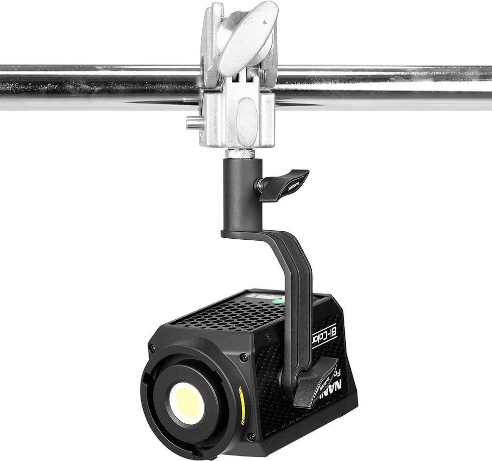 Miniatura: Nanlite Accesorio Forza 300 MarkII 