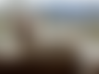 Why Maine Coon Cats Are a Popular Choice: Exploring Popular Maine Coon Qualities