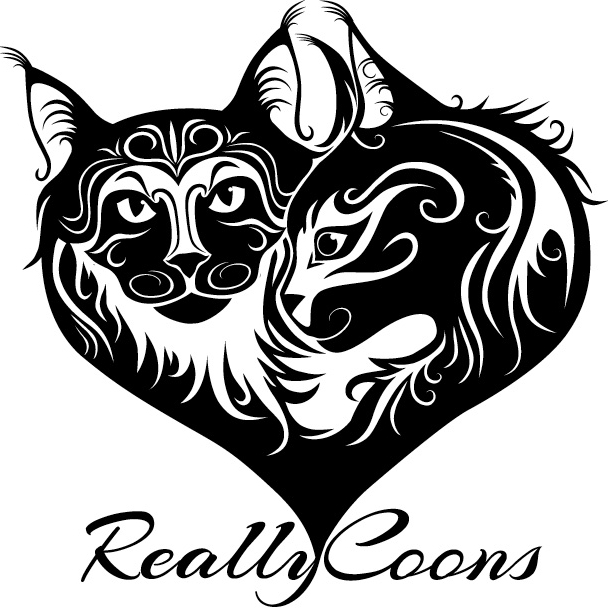 ReallyCoons LLC logo