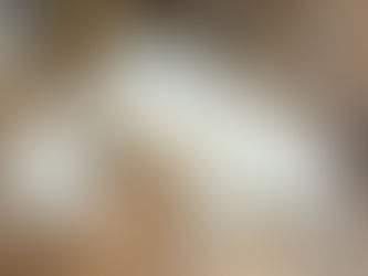 Exploring White Maine Coon Cats Info