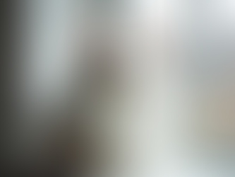 Why Maine Coons Are Exceptional Companions