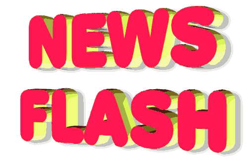 news-flash.gif