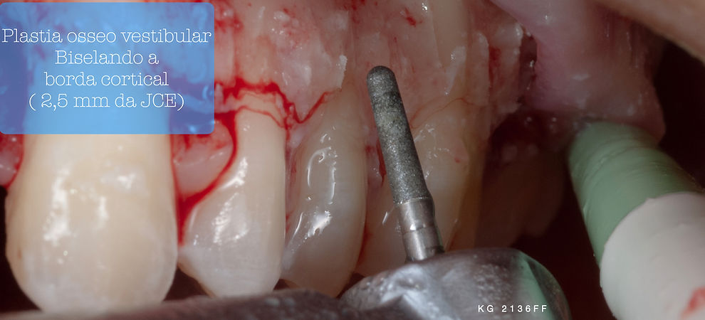 Lais Portugues.028.jpeg