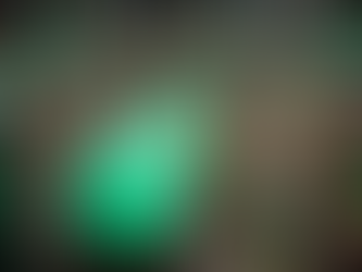 How Iranians Protest: The Green Movement 