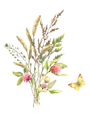 WILDFLOWERS
