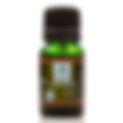 PAIN Massage Oil