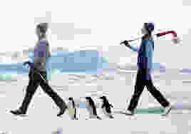 Winter Golf