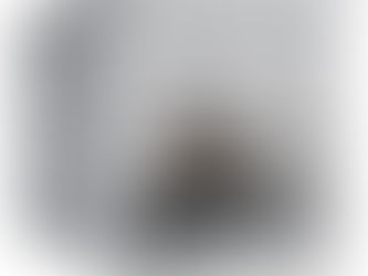 イナババイクガレージ　床タイプ　展示