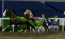 Первая тренировка