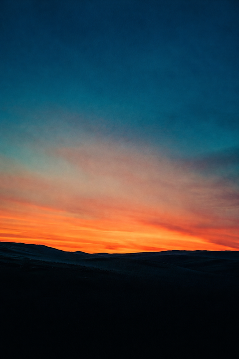 Foward logo background.png