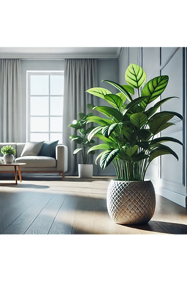 DALL·E 2025-02-02 19.09_edited.png