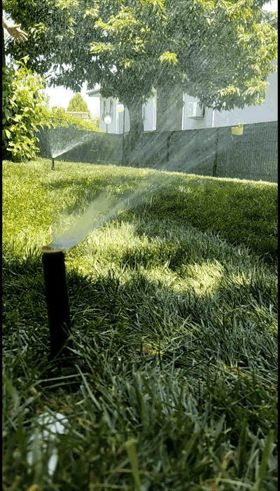 S.gif