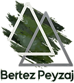 Logo son.png