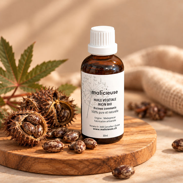 Flacon d’huile de ricin bio Malicieuse sur rondin en bois, avec graines et feuilles, ambiance naturelle; étiquette 30 ml.