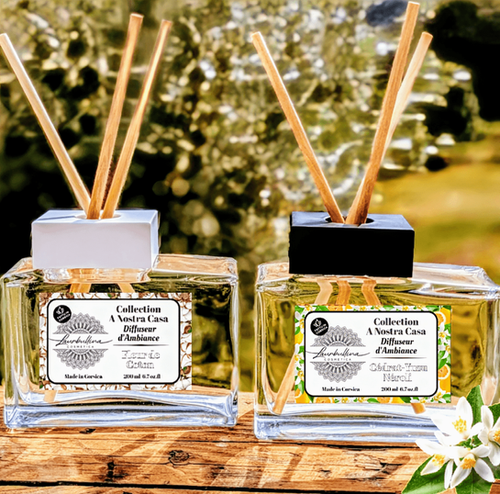 Diffuseur D'ambiance 200 Ml + Bâtonnets - Marque Les Lumières Du Temps - Parfum Patchouli - Neuf
