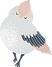 oiseau